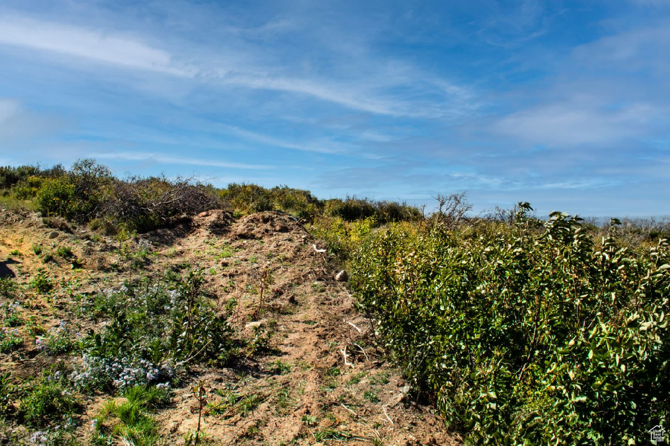 MOUNTAIN VIEW ESTATES - Land