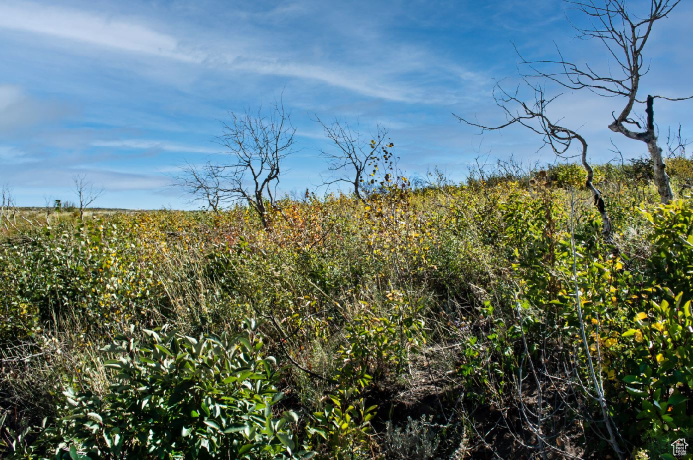 MOUNTAIN VIEW ESTATES - Land