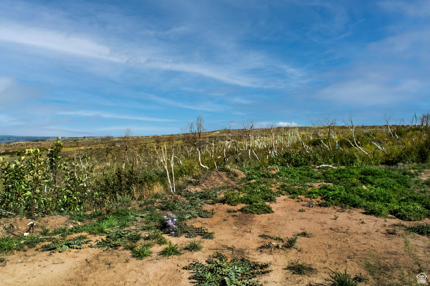 MOUNTAIN VIEW ESTATES - Land