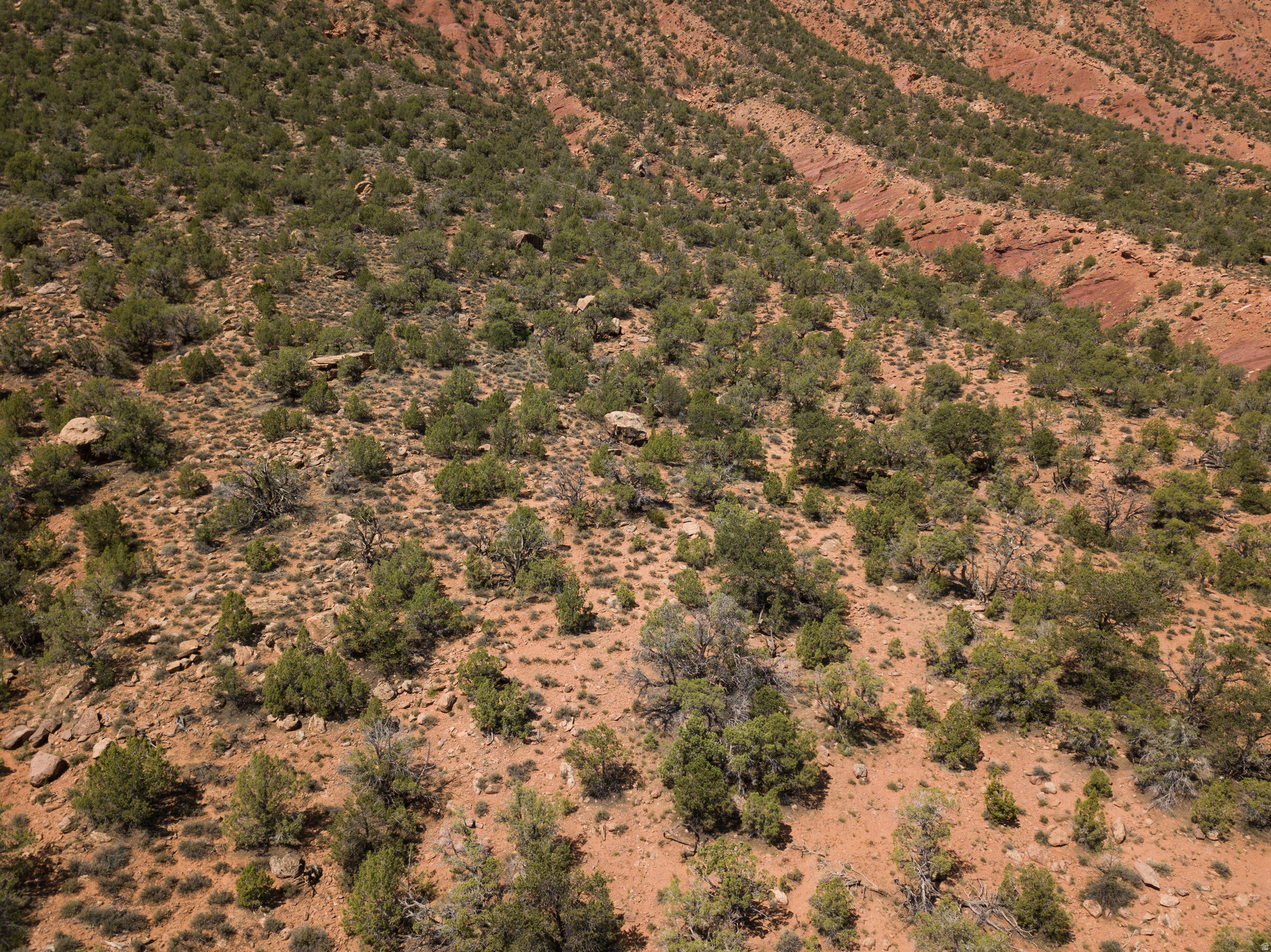 CASTLE VALLEY RIVER RANCHOS - Land