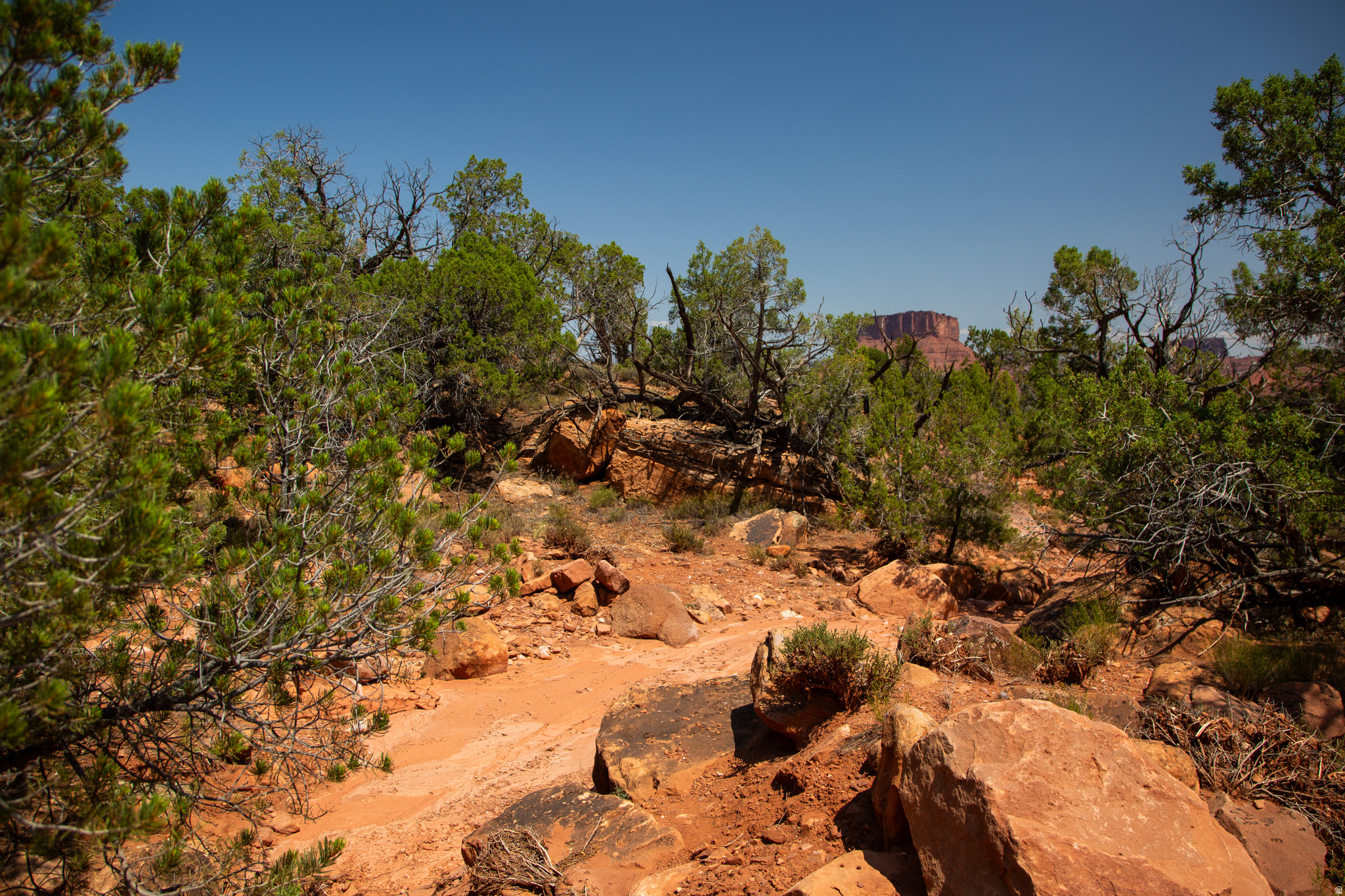 CASTLE VALLEY RIVER RANCHOS - Land