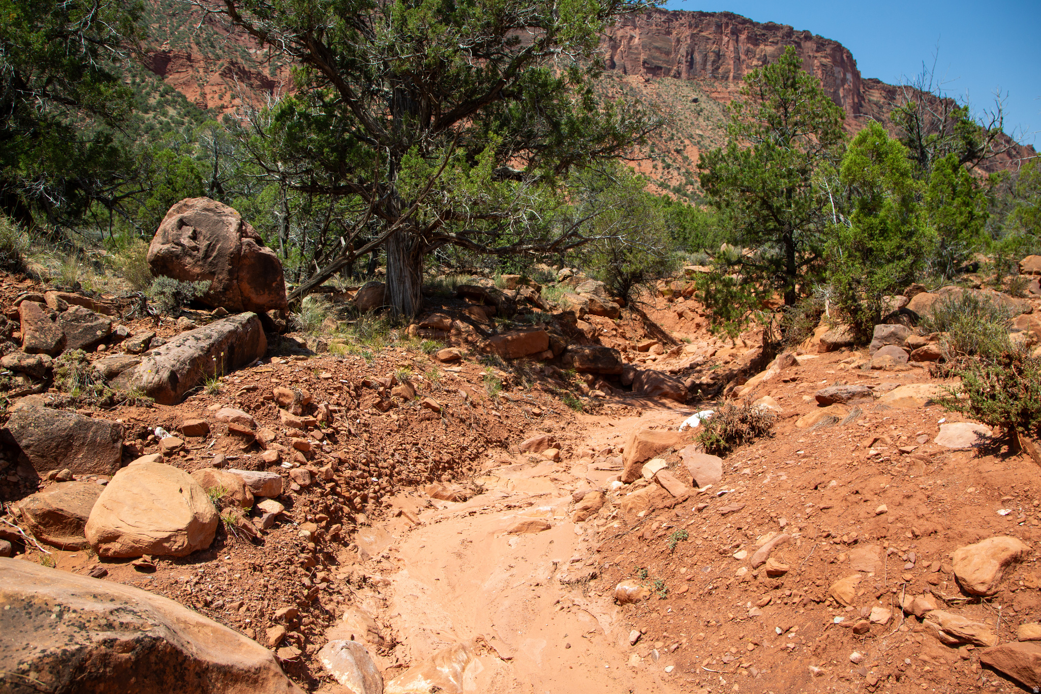 CASTLE VALLEY RIVER RANCHOS - Land