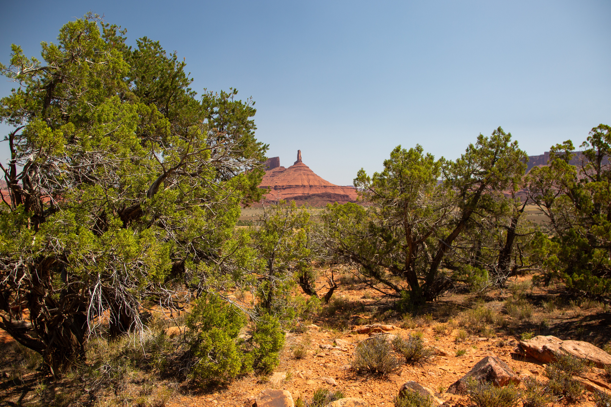 CASTLE VALLEY RIVER RANCHOS - Land