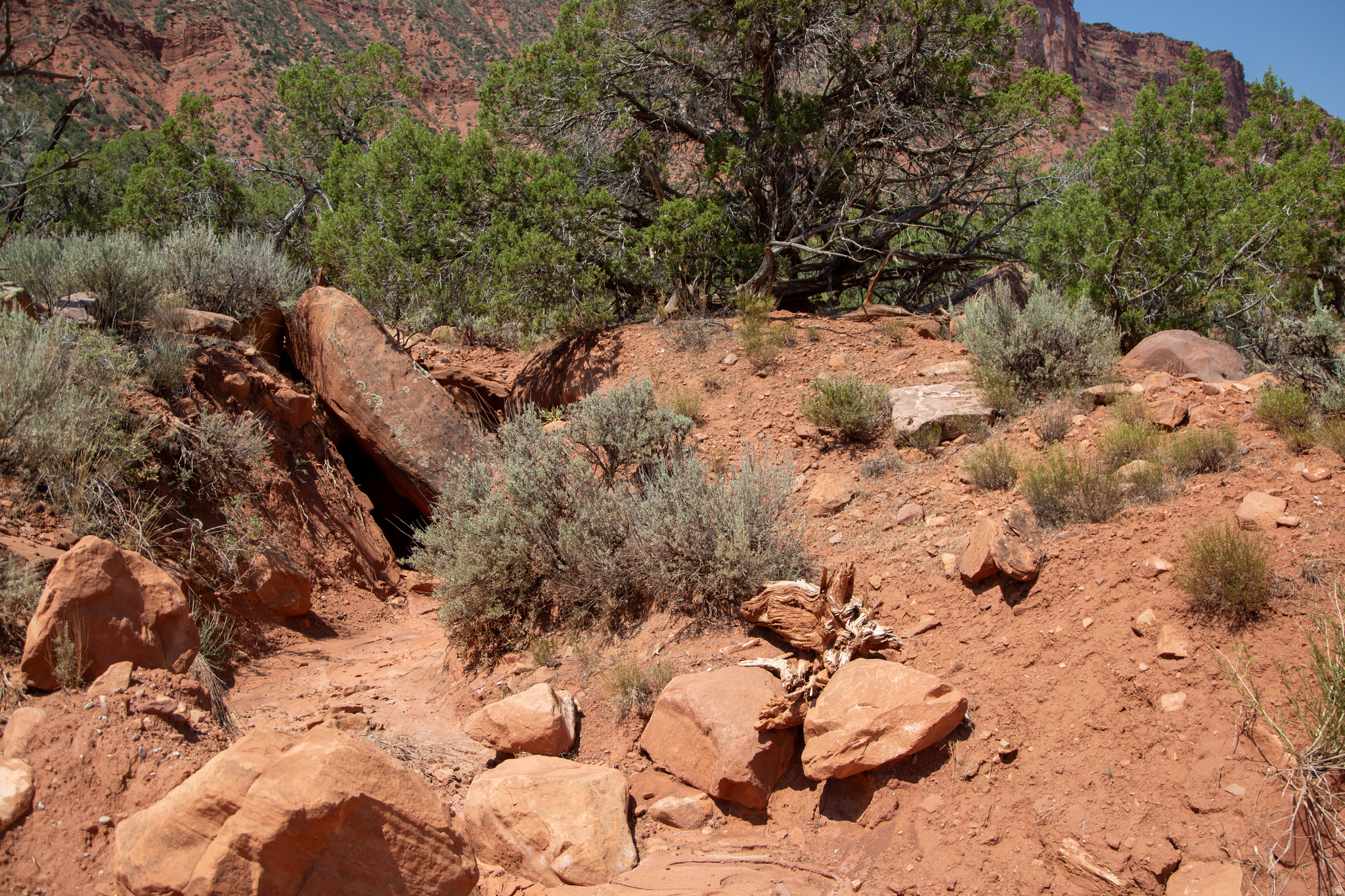 CASTLE VALLEY RIVER RANCHOS - Land