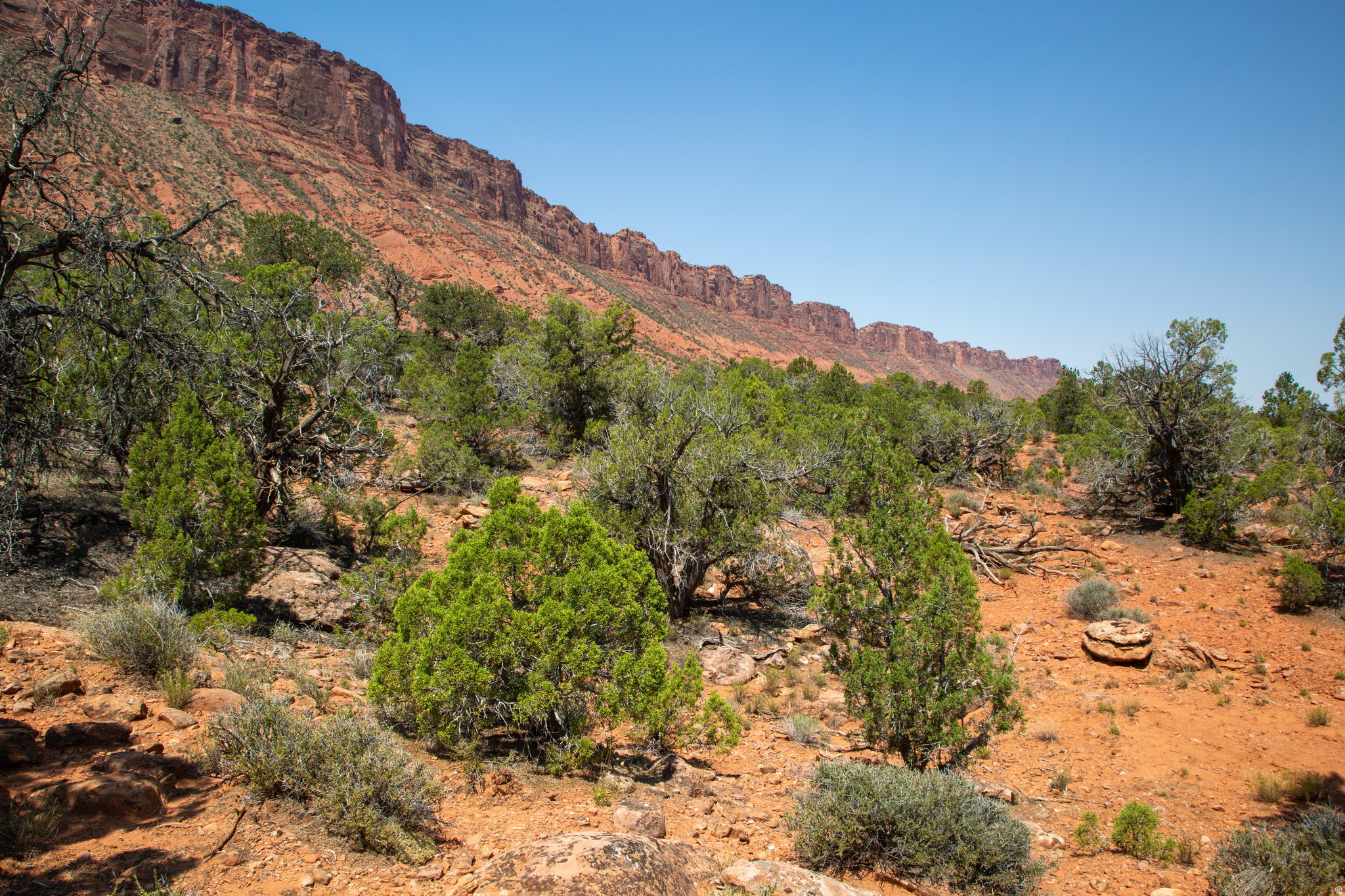 CASTLE VALLEY RIVER RANCHOS - Land