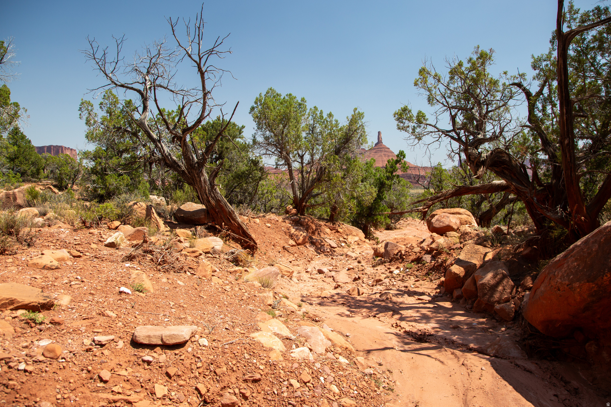 CASTLE VALLEY RIVER RANCHOS - Land