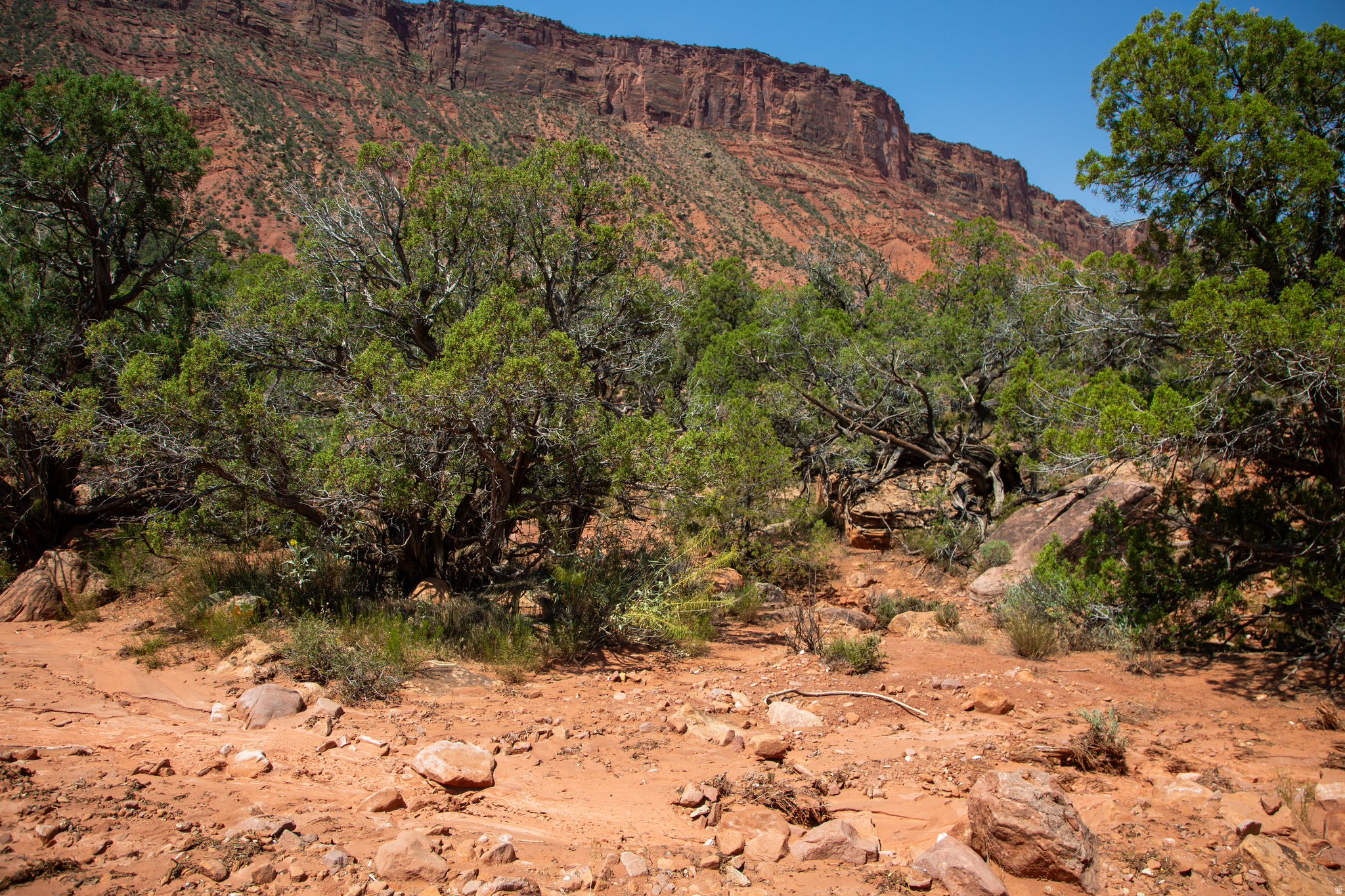 CASTLE VALLEY RIVER RANCHOS - Land