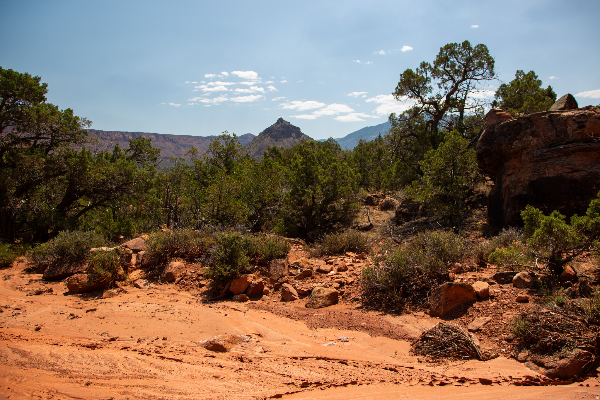 CASTLE VALLEY RIVER RANCHOS - Land