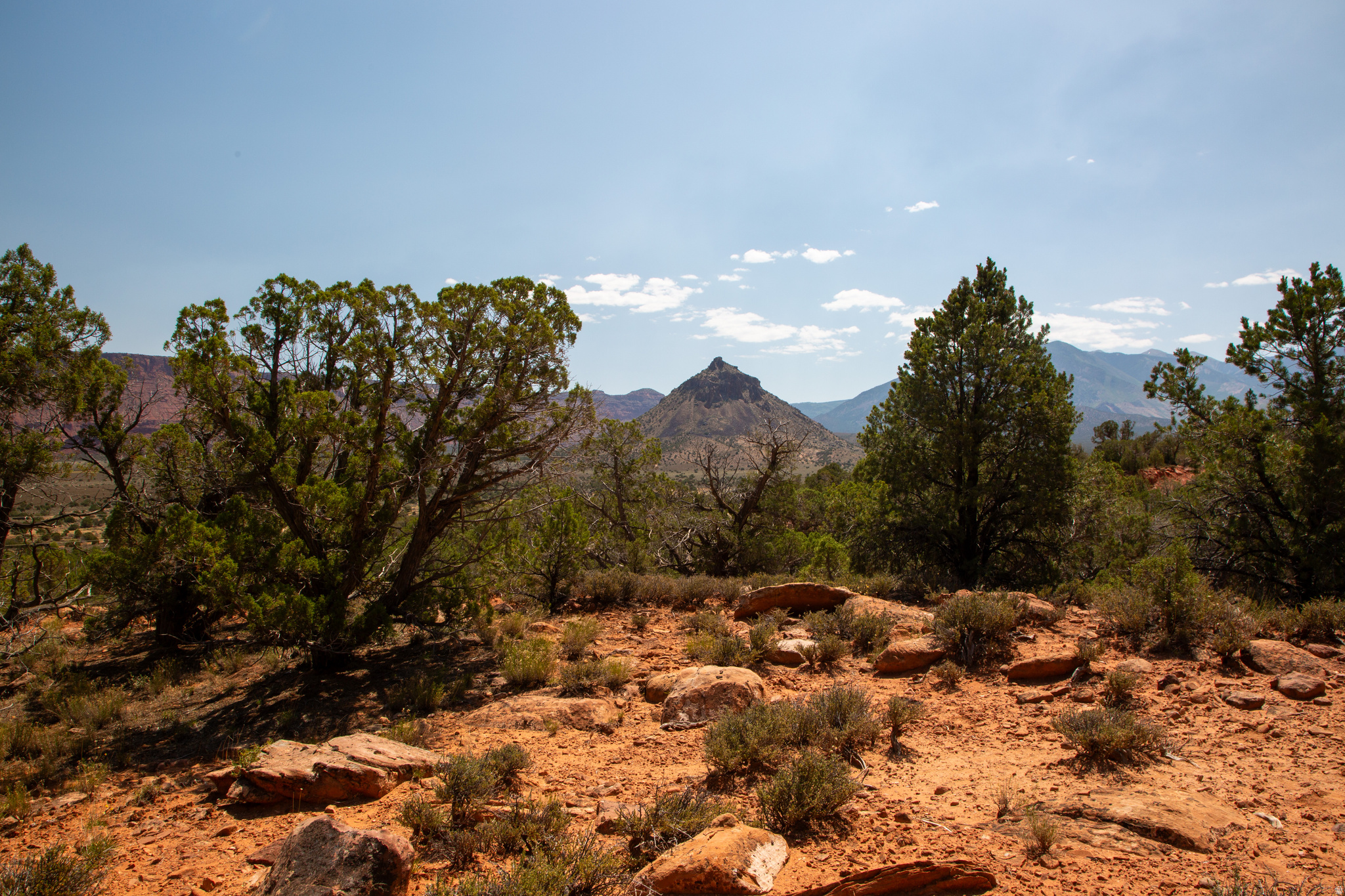 CASTLE VALLEY RIVER RANCHOS - Land