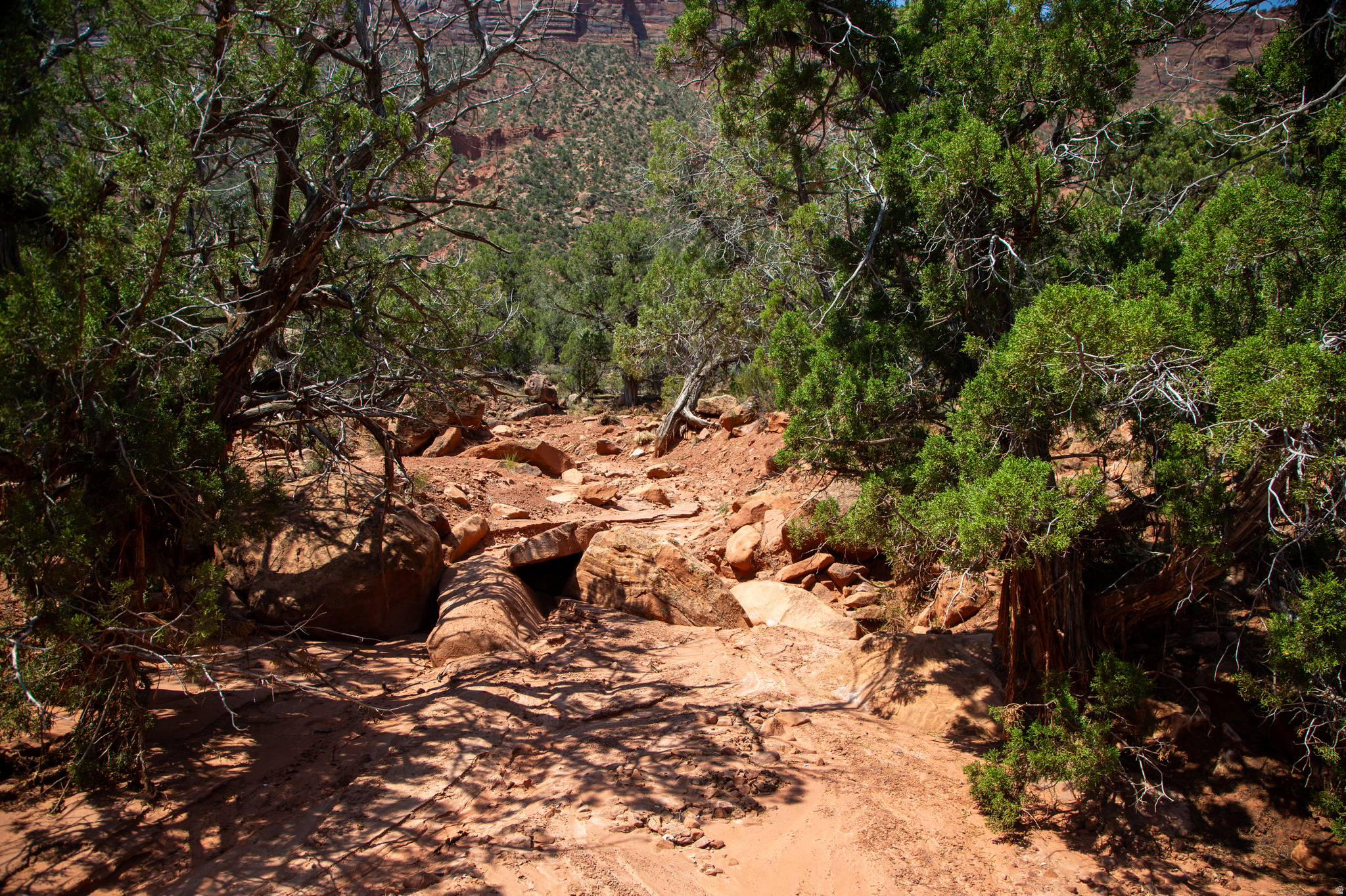 CASTLE VALLEY RIVER RANCHOS - Land