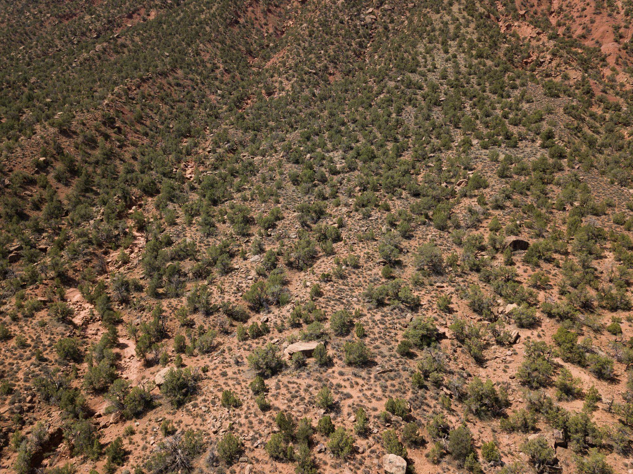 CASTLE VALLEY RIVER RANCHOS - Land