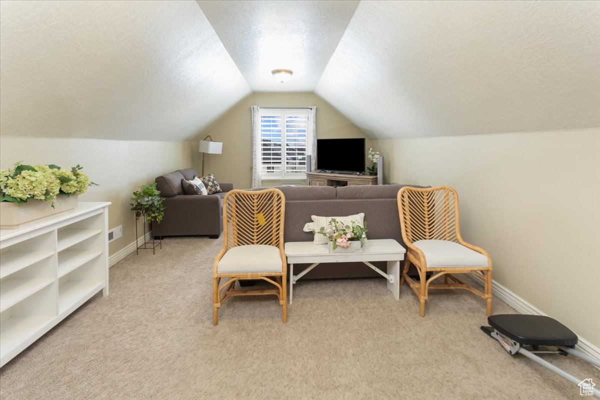 1325 W Trailside Dr, Santaquin, Utah image 22