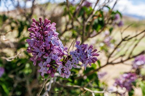 Tiny photo for 1085 S RIVER RIDGE LN, Joseph, UT 84739 (MLS # 2125575)