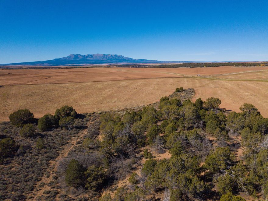 Own a beautiful 477.91-acre piece of the quiet Eastland community, perfectly located between monticello and dove creek. This expansive property, comprised of two parcels (35S25E032400 and 35S25E030000), offers the ideal mix of tillable ground - bringing in crop share income from a wheat/safflower rotation. This acreage is a hunter's dream due to its diverse topography: the south side joins BLM land, and a rugged canyon/draw nearby provides natural cover and sanctuary for abundant wildlife. An additional 25-30 acres in the northwest could be cleared for further farming or developed into desirable grassland. Power is about half a mile to the north, connection fees apply. Financially, the property is in greenbelt tax designation, ensuring property taxes remain low. Whether you seek a significant land investment, a thriving farm, or a vast private hunting sanctuary, this Eastland parcel offers truly exceptional value and opportunity.