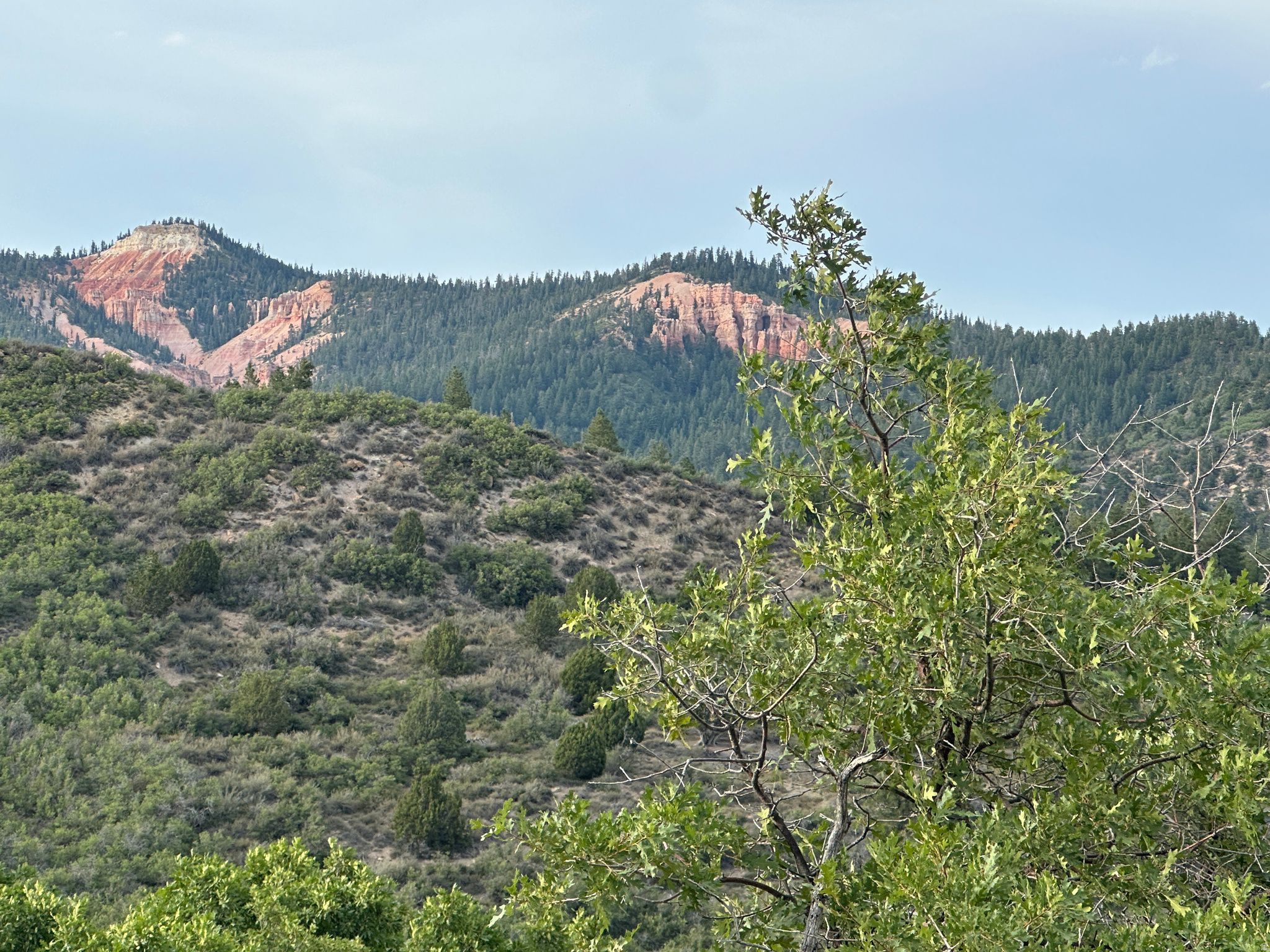 DEER SPRINGS RANCH PLAT C - Land