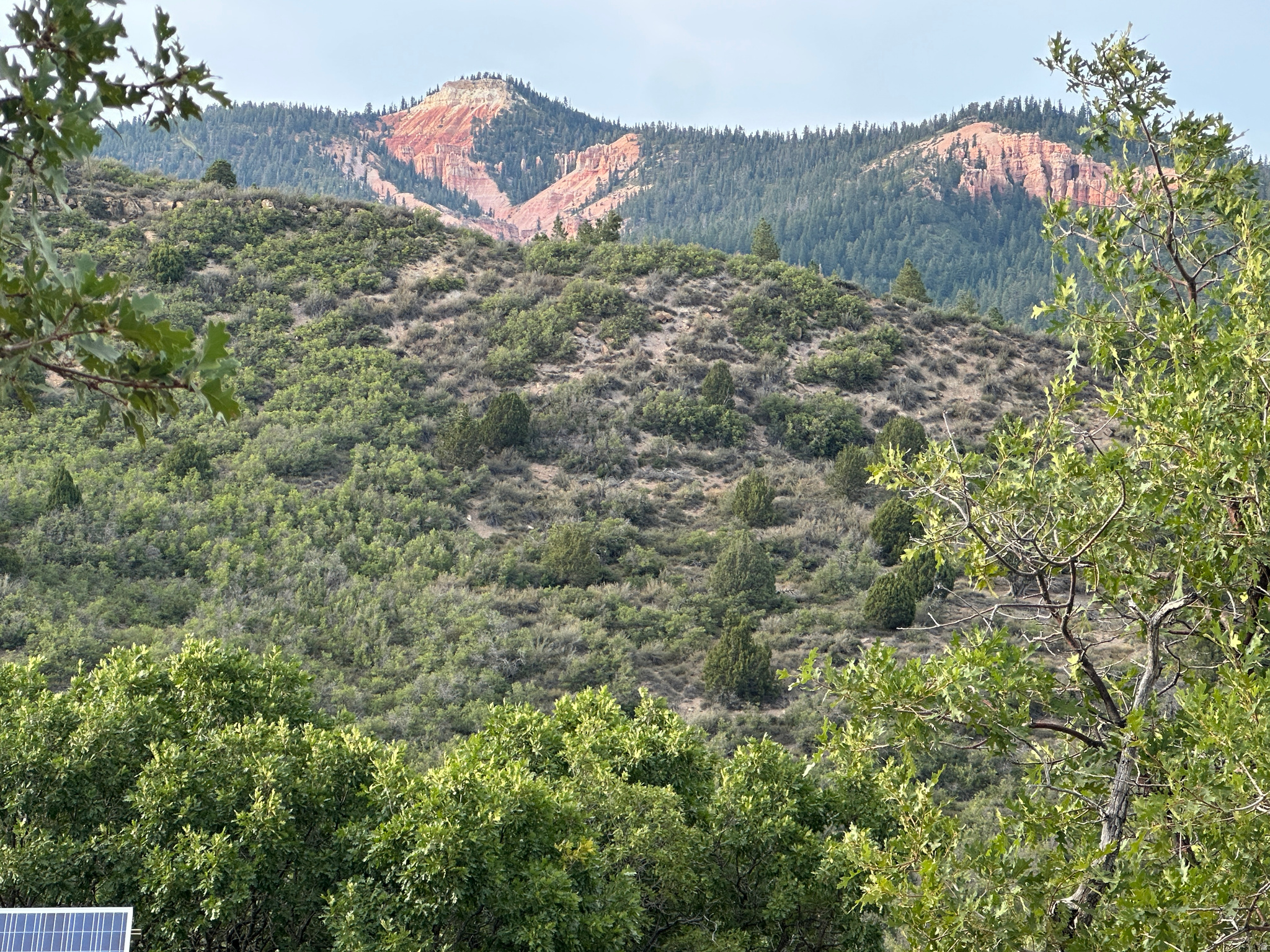 DEER SPRINGS RANCH PLAT C - Land