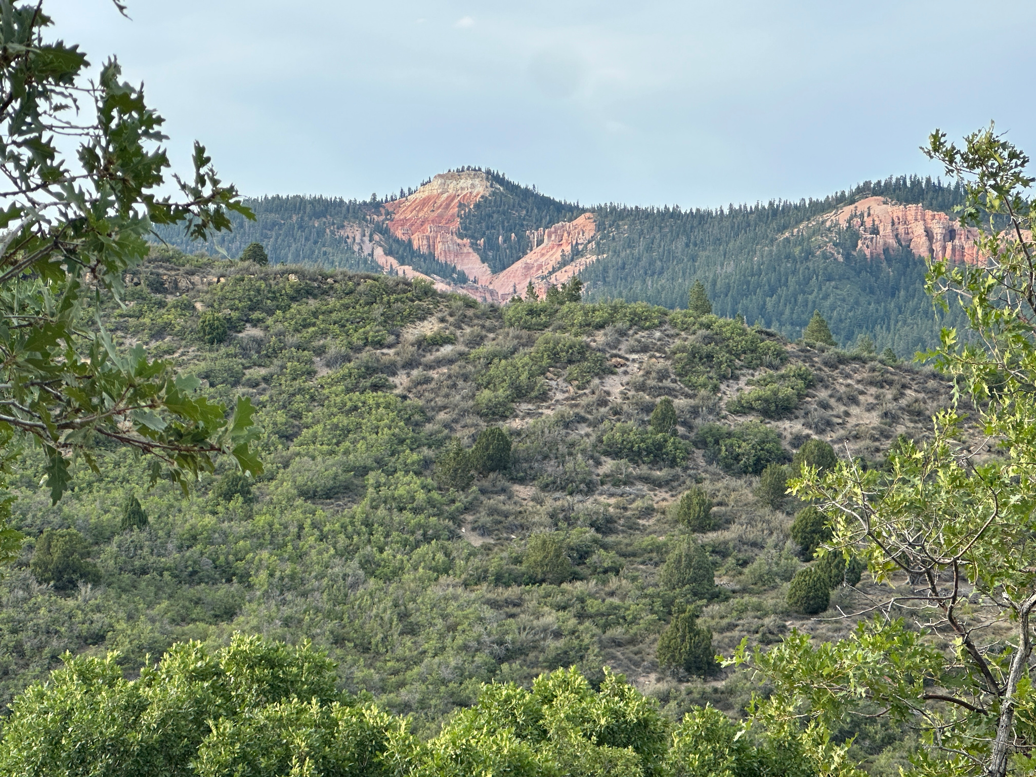 DEER SPRINGS RANCH PLAT C - Land