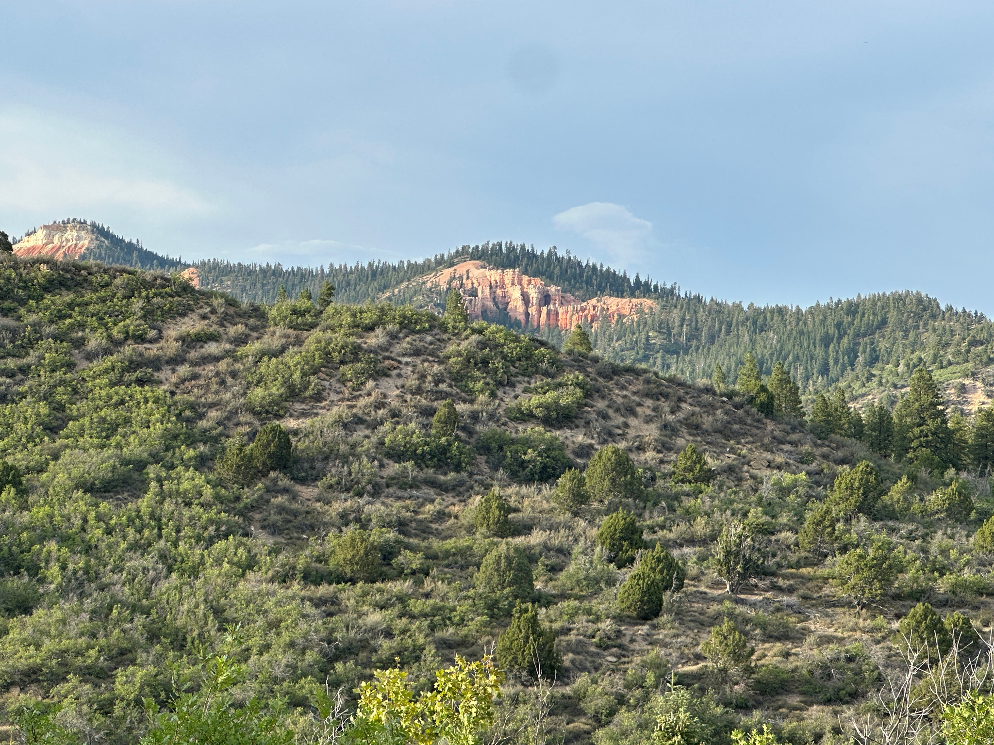 DEER SPRINGS RANCH PLAT C - Land