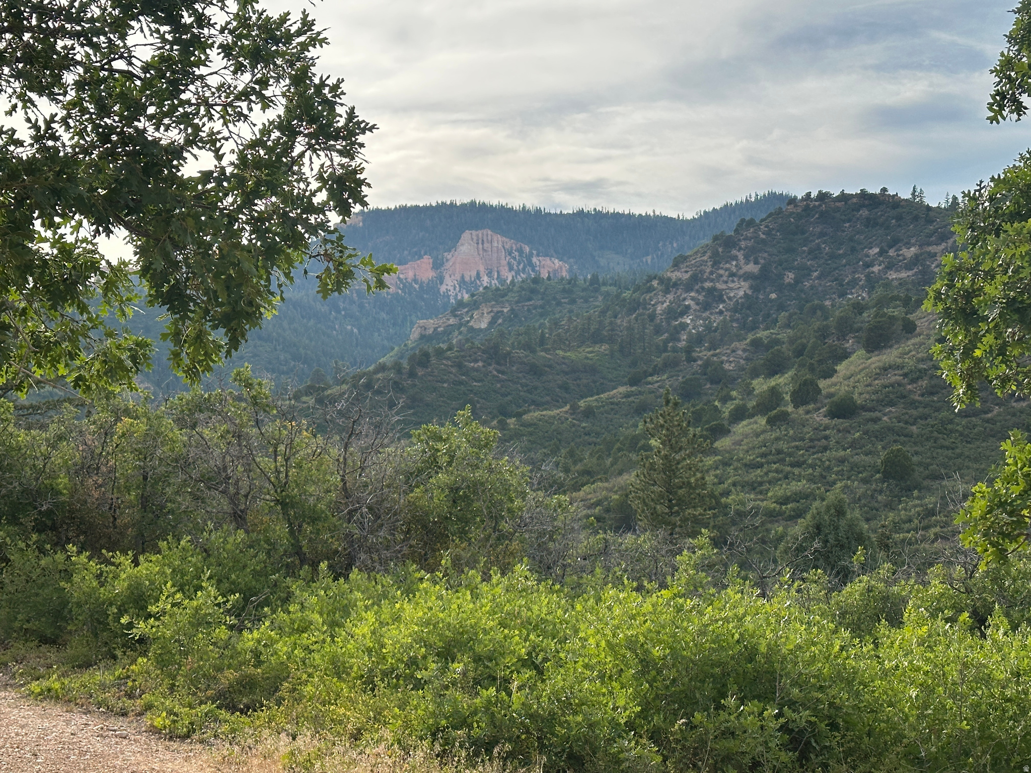 DEER SPRINGS RANCH PLAT C - Land