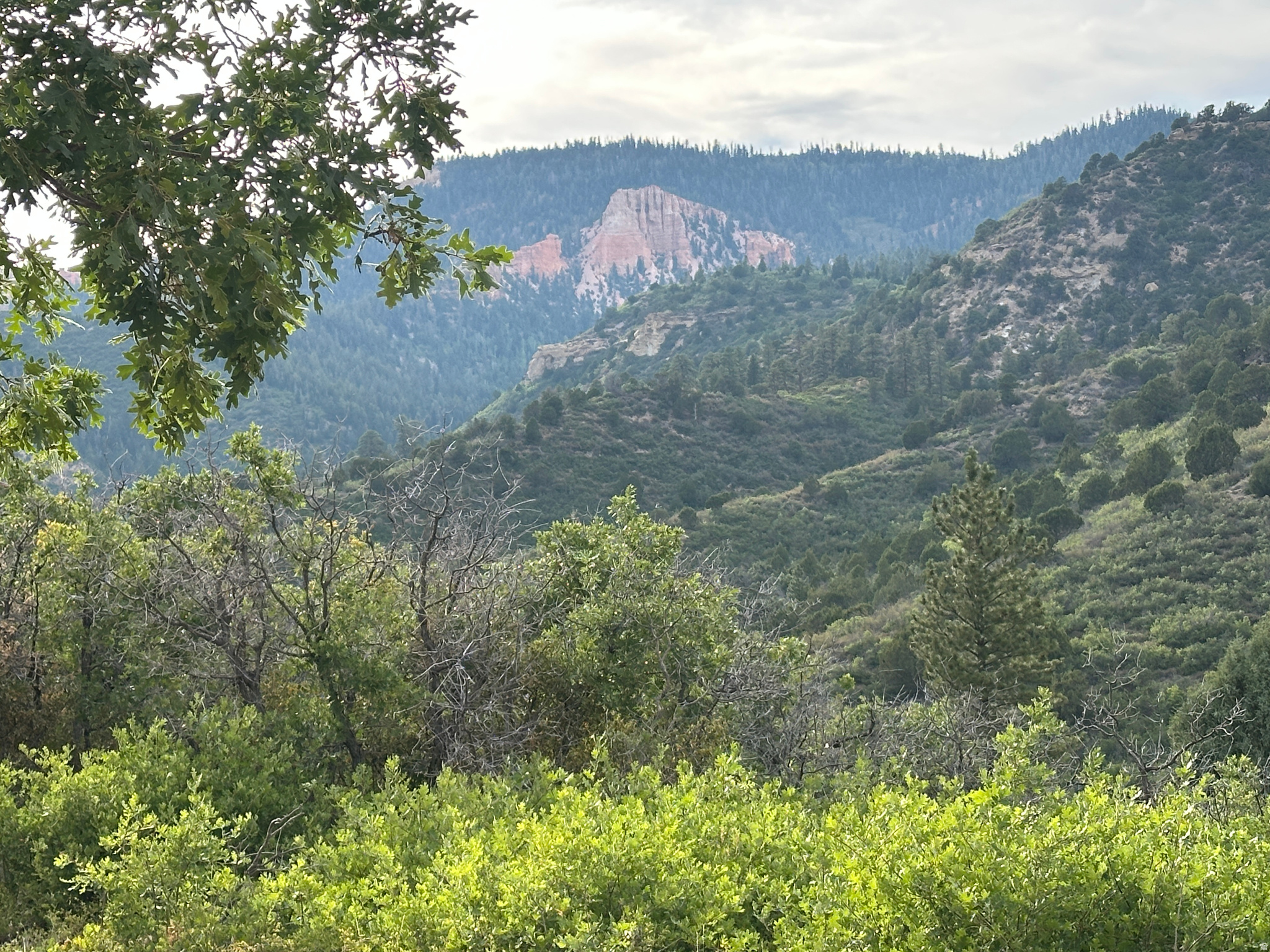 DEER SPRINGS RANCH PLAT C - Land