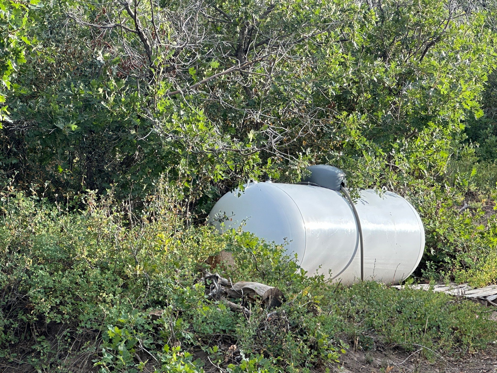 DEER SPRINGS RANCH PLAT C - Land