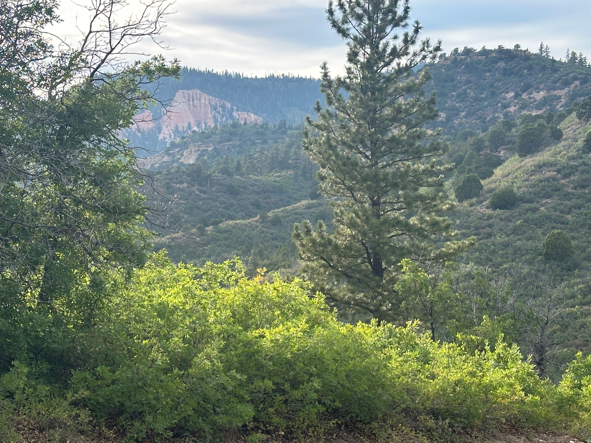 DEER SPRINGS RANCH PLAT C - Land