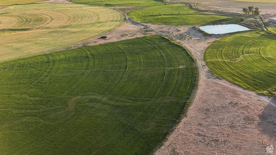 This 289-acre agricultural property in Garfield County, Utah, offers a high-quality opportunity for hay production, boasting 225 acres under pivot irrigation. The farm utilizes a three-way rotational system with Alfalfa, Triticale, and Timothy, ensuring optimal forage quality for both horse breeders and owners. With an average yield of 5-6 tons per acre annually, this property produces premium hay used primarily for high-end equestrian operations, including champion-level rodeo horses.  Over the years, the farm management has consistently improved the output by utilizing advanced farming practices and reducing inputs. Recent Dairy One Forage Testing has shown that the hay produced on this land ranks in the 'high' quality category across various parameters, including Dry Matter, Crude Protein, ADF, NDF, TDN, and overall feed value. The farm's output is recognized for delivering the essential nutrients needed to support top-performing horses, making it a prime choice for breeders looking for premium-quality feed.  In addition to the farm's high-quality hay production, the property features a robust water management system, including an updated water delivery system with holding ponds and a new custom pivot system using a variable frequency drive (VFD) for efficient irrigation. The property is also supplied with plenty of irrigation shares and water rights, ensuring the long-term viability of the operation.  The land is fenced on two sides, providing security for livestock or equipment storage. There are no structures currently on the property, but there are several excellent locations to build a home or additional storage facilities. This gives the buyer flexibility in how they wish to use the land.  Road access is another key feature of this property, with excellent paved roads to the property and gravel roads leading directly to the haybarn. Additionally, the internal road network ensures easy movement of equipment and hay bales across the property.  The property is ideally located just 6 miles from Panguitch, UT, and is approximately halfway between Salt Lake City and Las Vegas, providing convenient access to major transportation routes, markets, and recreational areas. Bryce Canyon and Zion National Park are both just a short drive away, adding further appeal to the location.  While the sale does not include any equipment, the current owner is open to negotiating equipment purchases separately. Additional property may also be available upon request. Interested buyers are encouraged to contact the agent for more details.