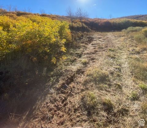 Tiny photo for #31K, Indianola, UT 84629 (MLS # 2115328)