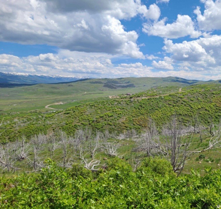 INDIAN RIDGE RANCH - Land