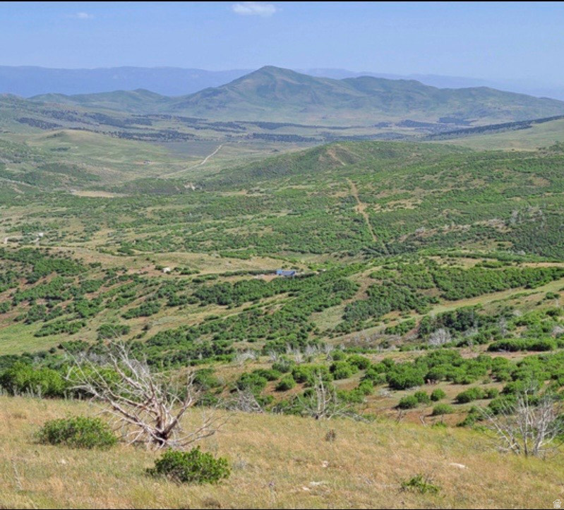 INDIAN RIDGE RANCH - Land