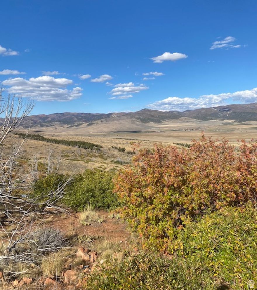 Escape to your own mountain retreat! This beautiful 1.02-acre lot in the Indian Ridge Subdivision offers breathtaking mountain views, peaceful surroundings, and abundant wildlife. Nestled among mature scrub oak, this property provides a serene, natural setting-perfect for a private camping getaway or building your dream cabin in the future.  A well-maintained road makes access easy, and the lot is ready for your vision. Water is available but not hooked up. Whether you're looking for a weekend escape or a future mountain home site, this property offers a perfect combination of beauty, privacy, and convenience.  Come enjoy the fresh mountain air, starry nights, and the peaceful rhythm of nature at Indian Ridge!