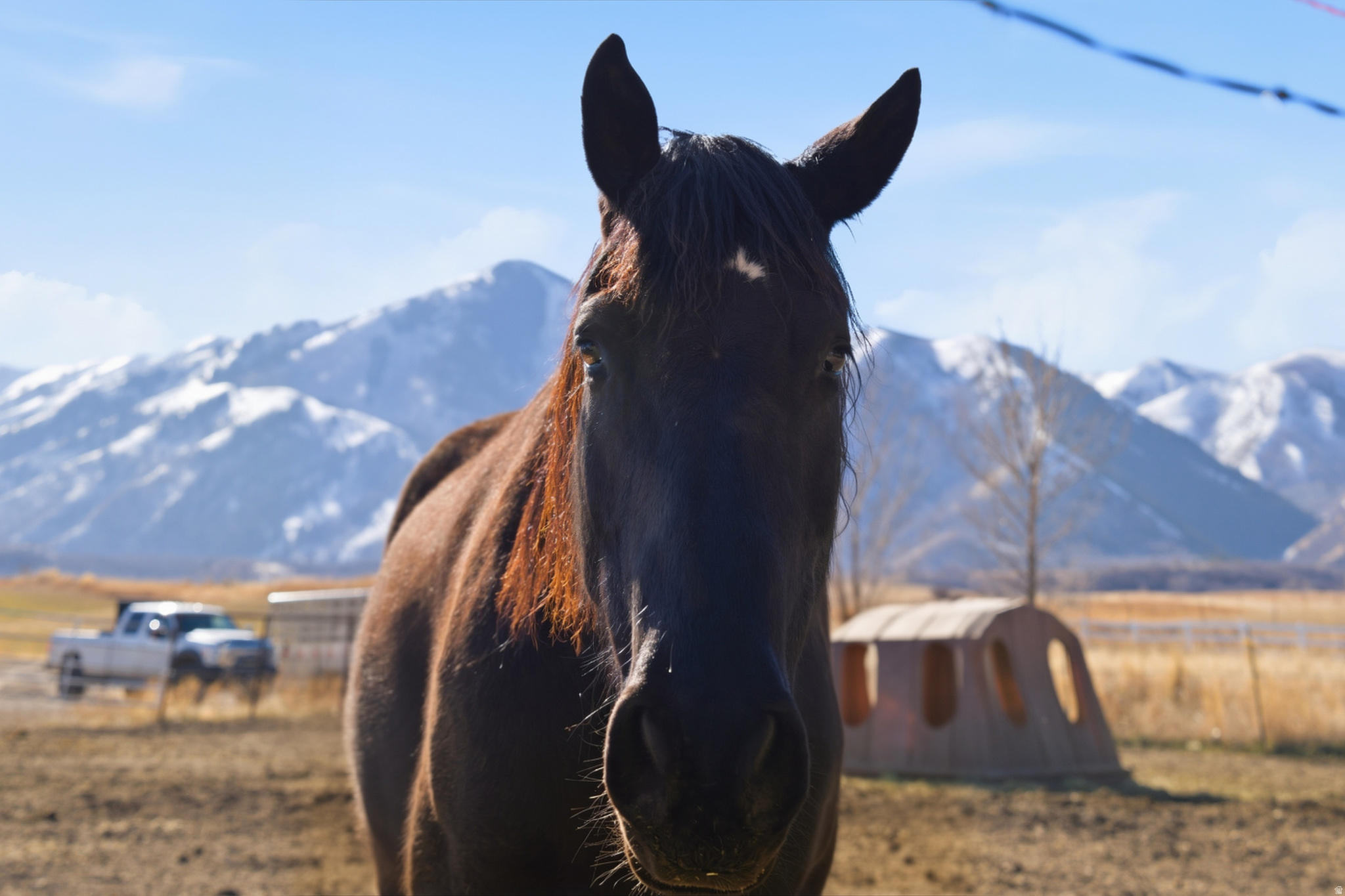 PHEASANT RIDGE ESTATES - Residential