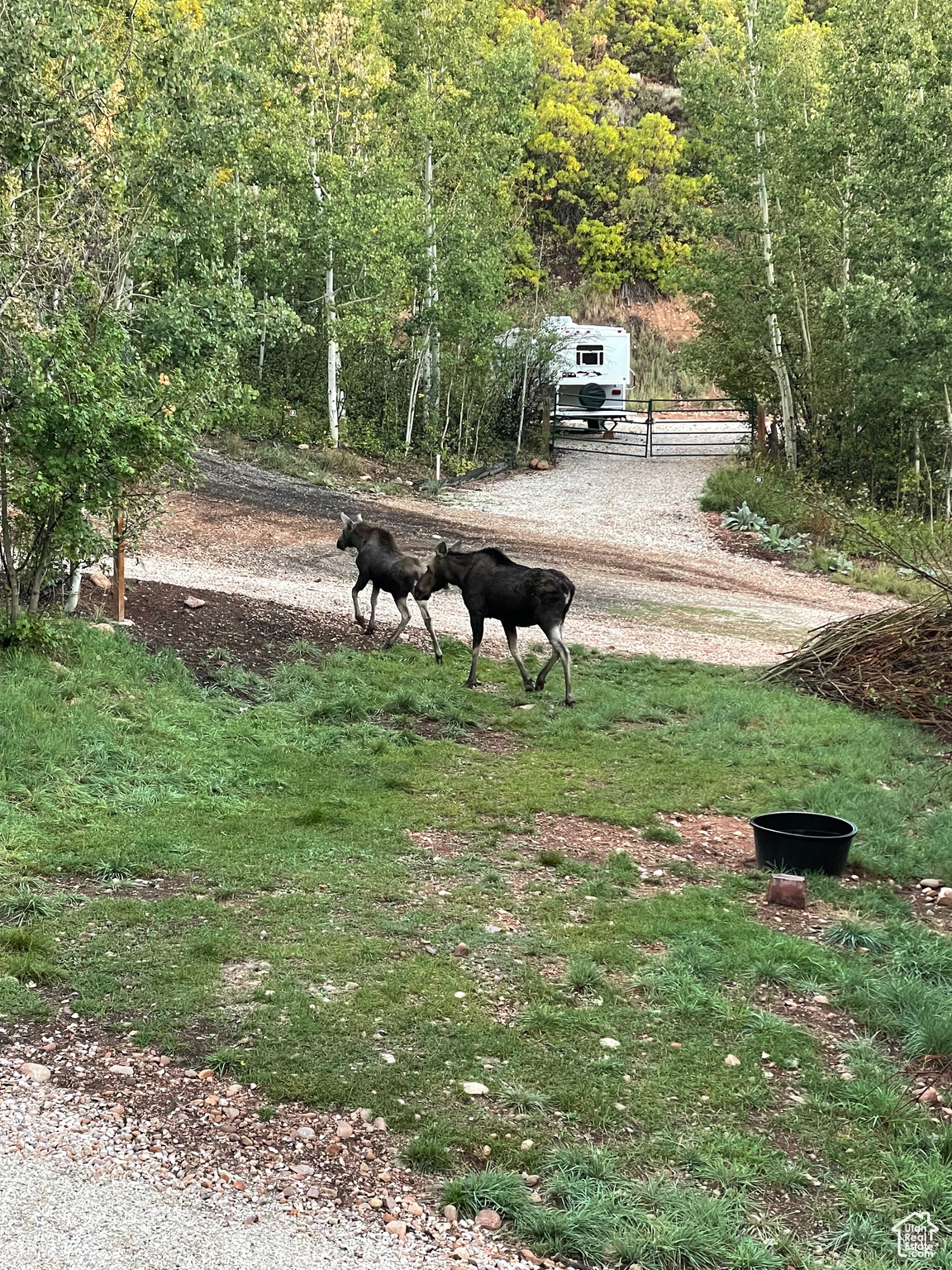 CAUSEY ESTATES SUBDIVISION #2 - Land