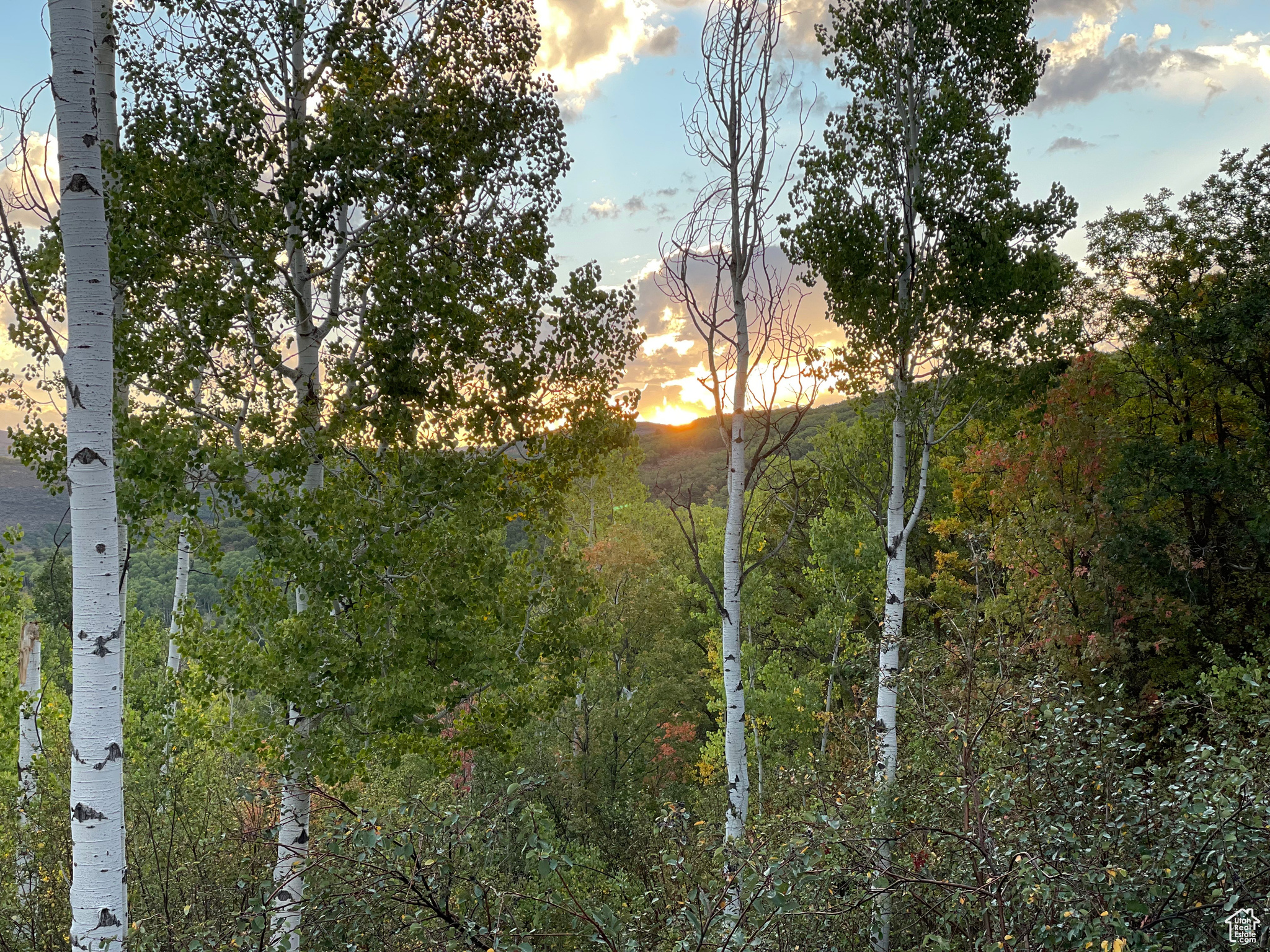 CAUSEY ESTATES SUBDIVISION #2 - Land