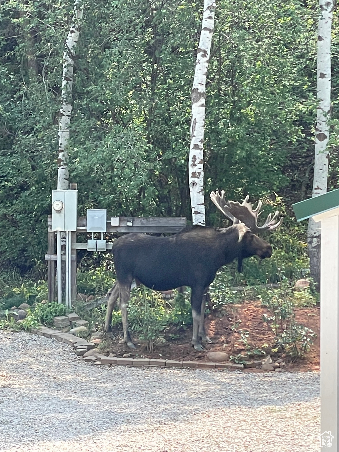 CAUSEY ESTATES SUBDIVISION #2 - Land