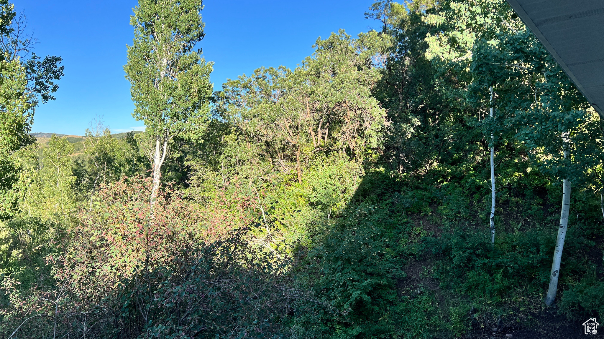 CAUSEY ESTATES SUBDIVISION #2 - Land