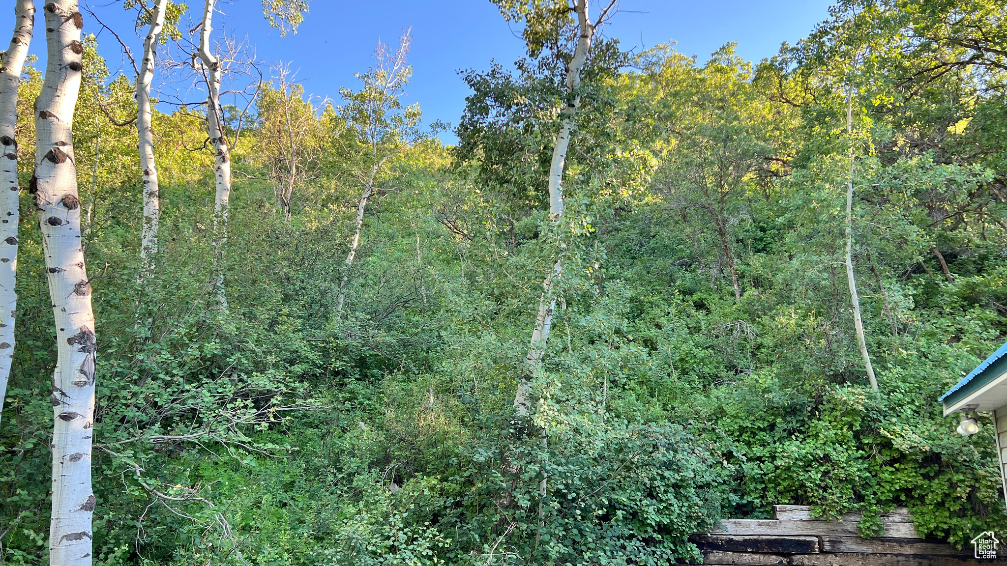 CAUSEY ESTATES SUBDIVISION #2 - Land