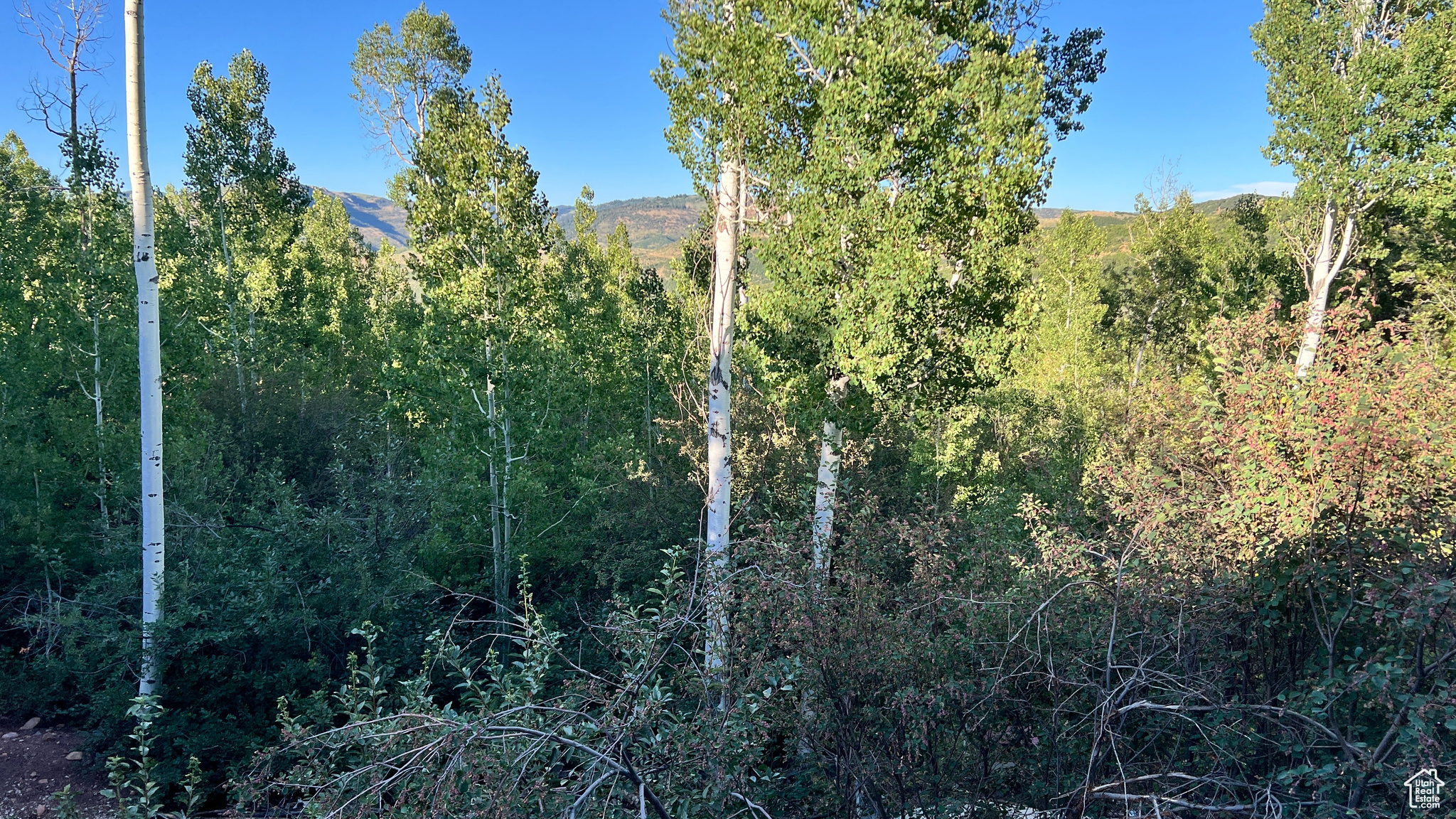 CAUSEY ESTATES SUBDIVISION #2 - Land