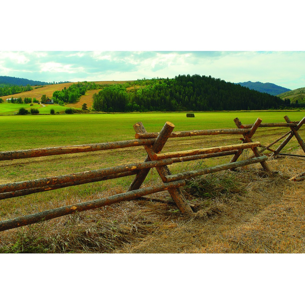 GROUSE CREEK RANCH - Land