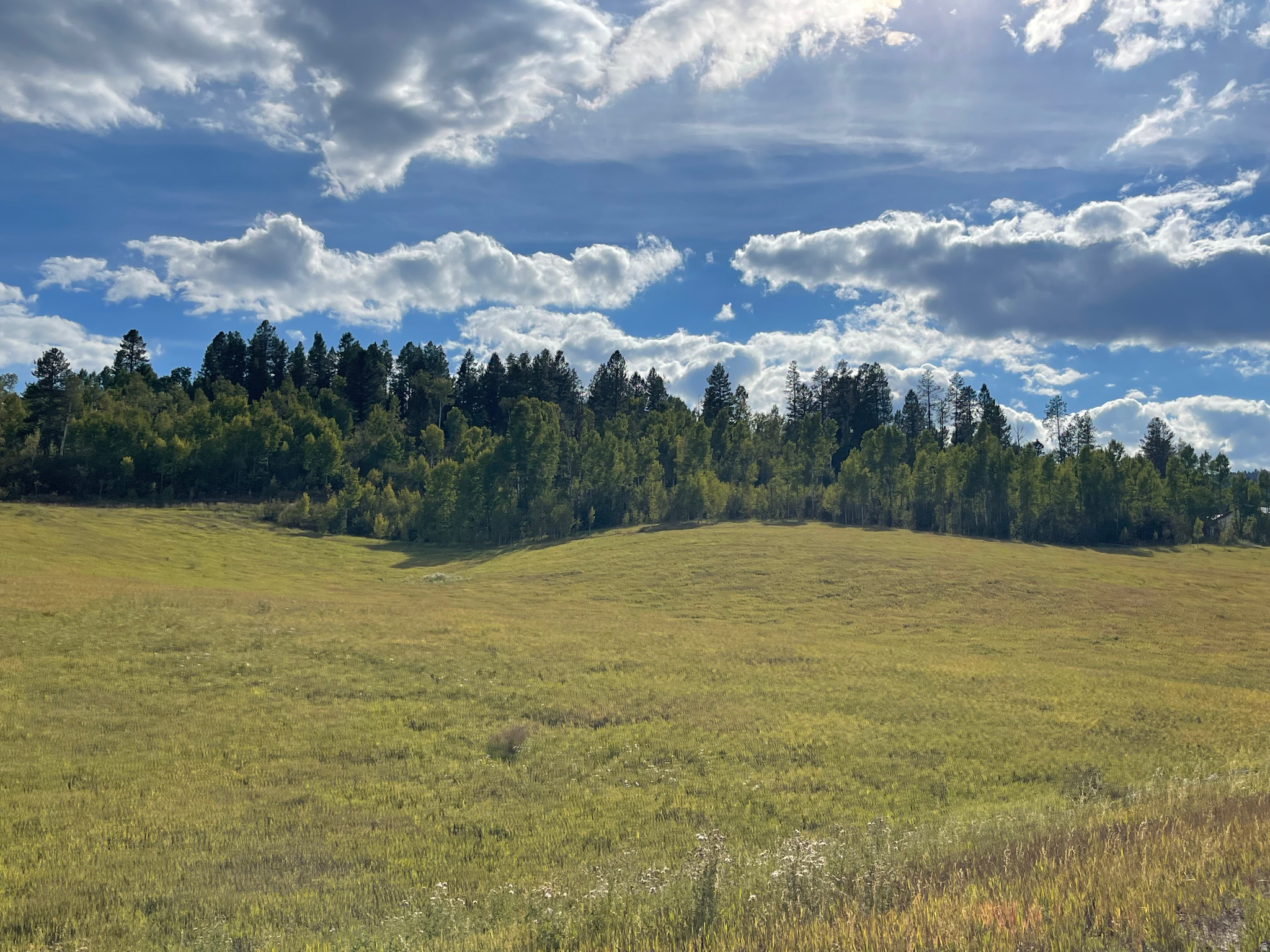 GROUSE CREEK RANCH - Land