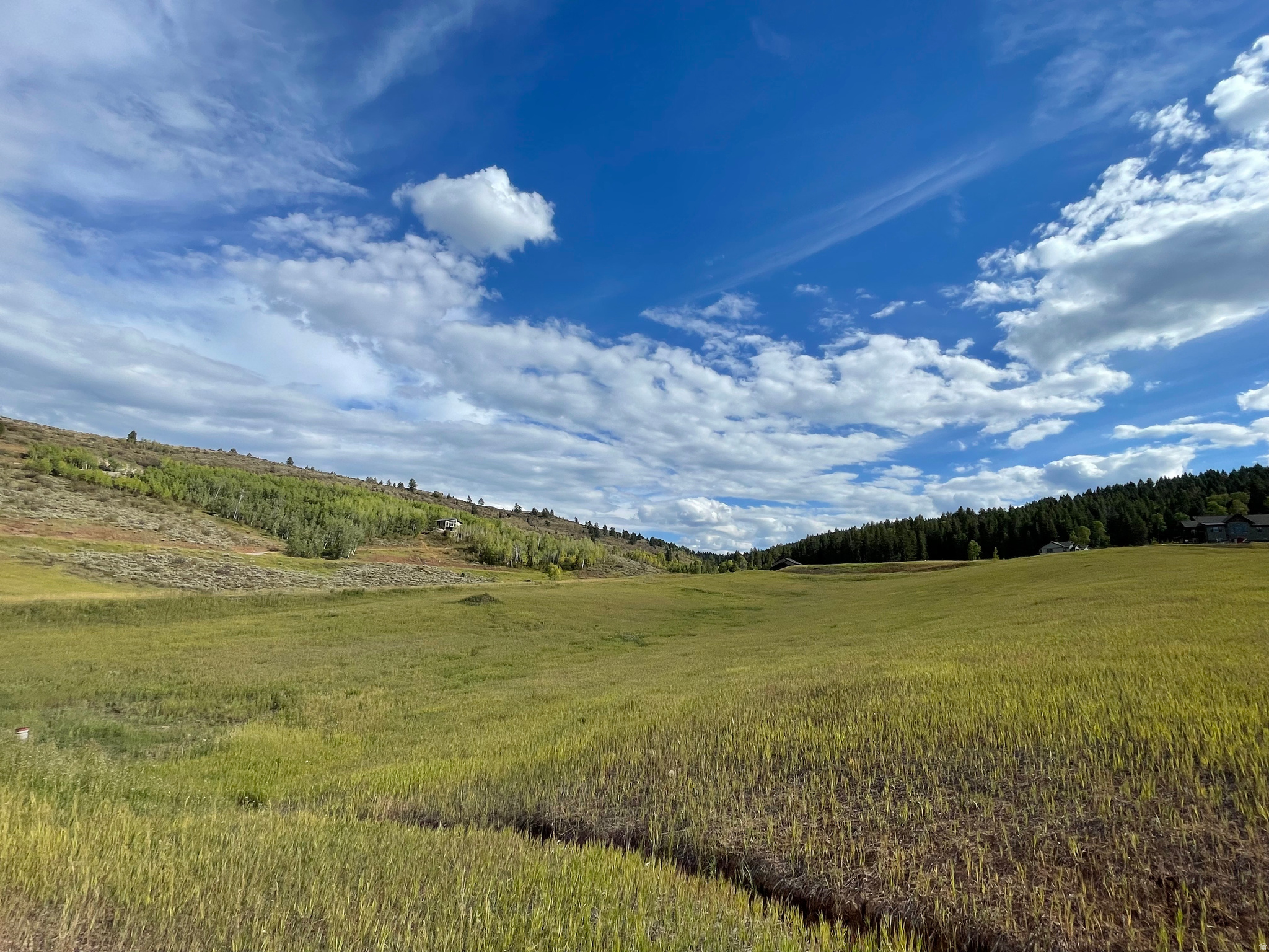 GROUSE CREEK RANCH - Land