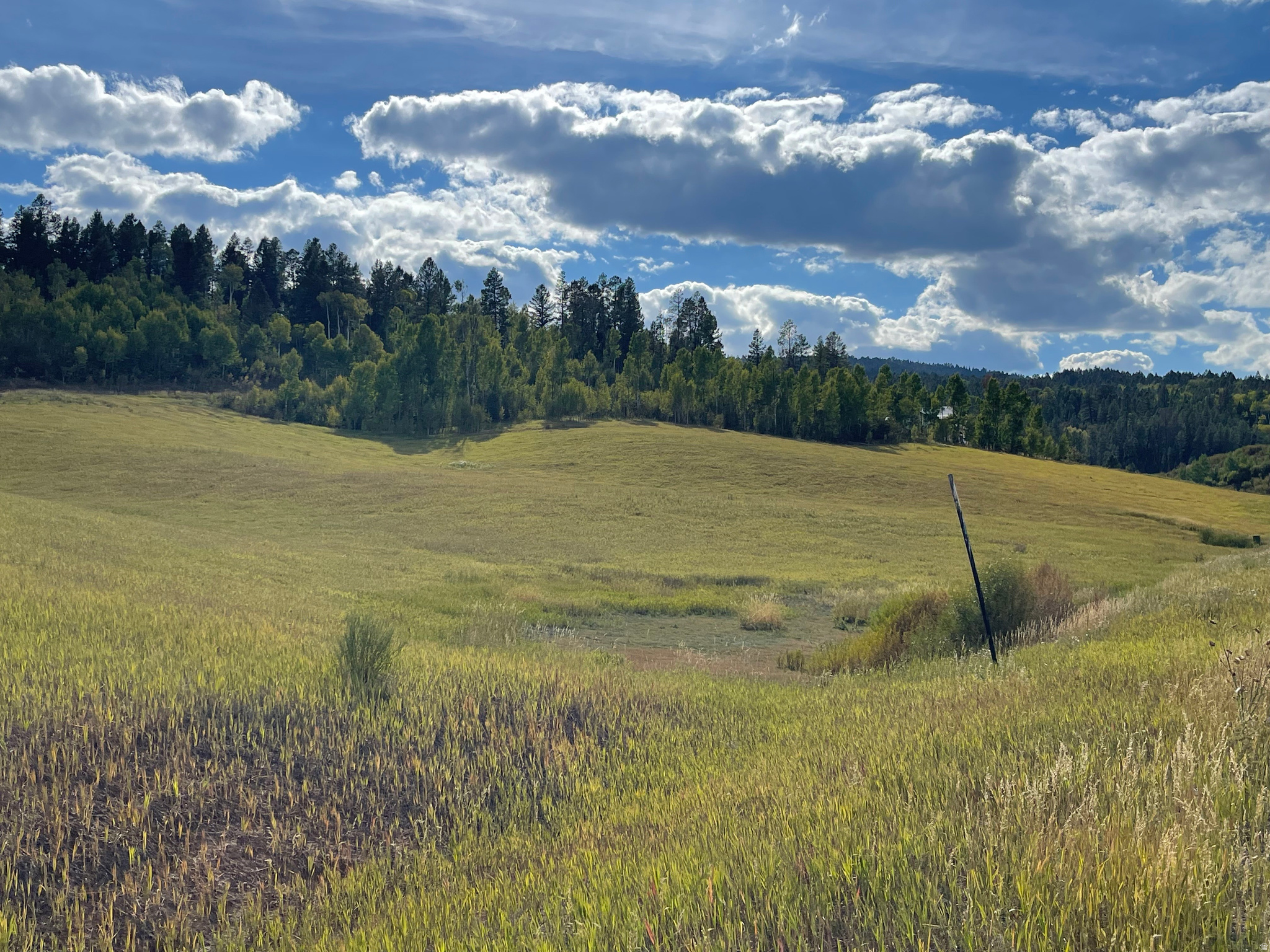GROUSE CREEK RANCH - Land
