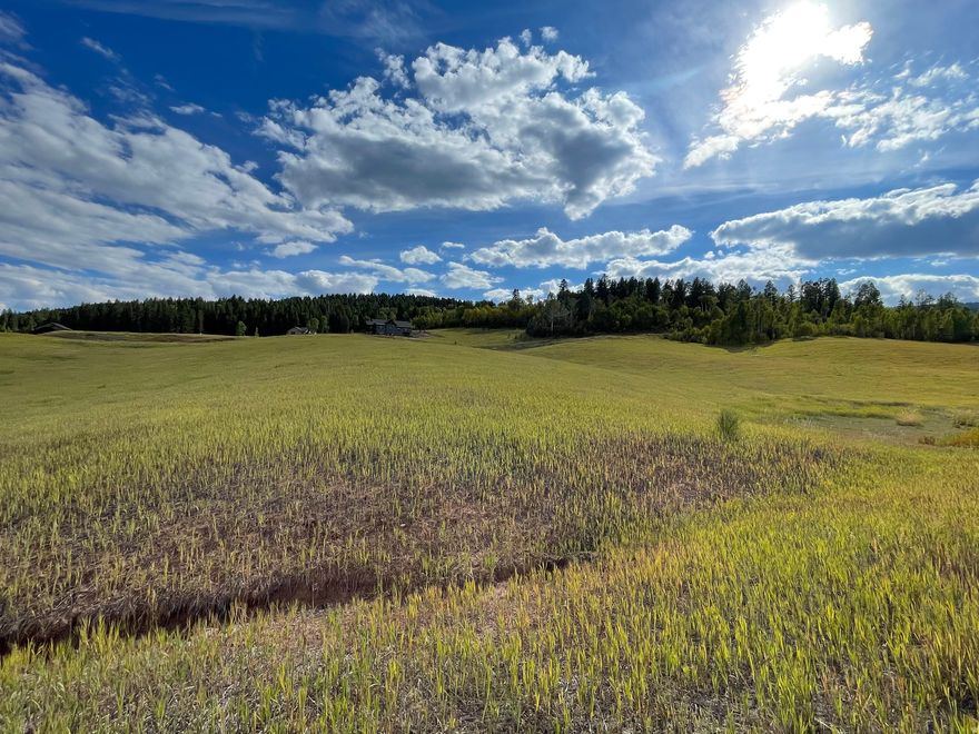 Grouse Creek Ranch is located in Idaho on Highway 34, an historic byway, in Star Valley on the Wyoming/Idaho border. It is just minutes from the conveniences of Thayne and Etna, Wyoming. The property is nestled in a canyon known as Tin Cup Pass, which garnered its name from the world-class fly-fishing creek bordering the subject property to the north. The ranch is perfectly situated for recreational enthusiasts, as it abuts the 2.5+ million acre Caribou-Targhee National Forest on two sides. Immediately available to our property owners is direct access to horseback riding, hunting, on-site fishing, hiking, snowmobiling, cross country skiing and much more.