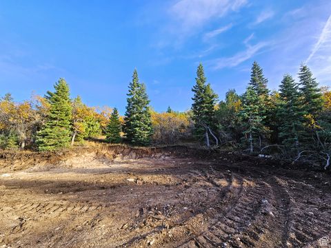 Vacant Land For Sale - 13 Pine Crest Dr #13<br/> Mt Pleasant, UT 84647