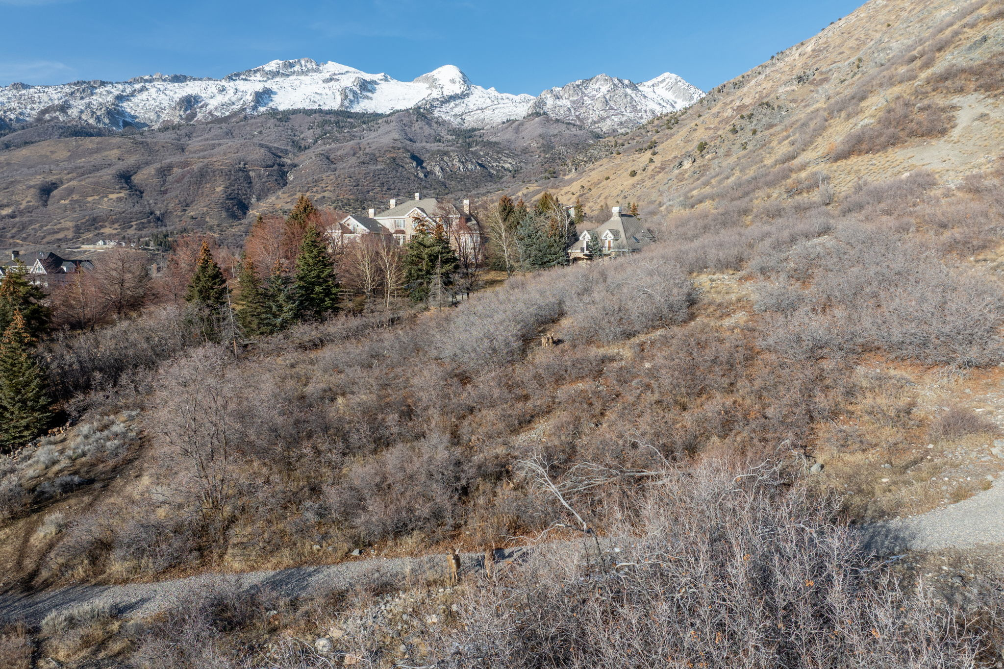 BOX ELDER PLAT F - Land