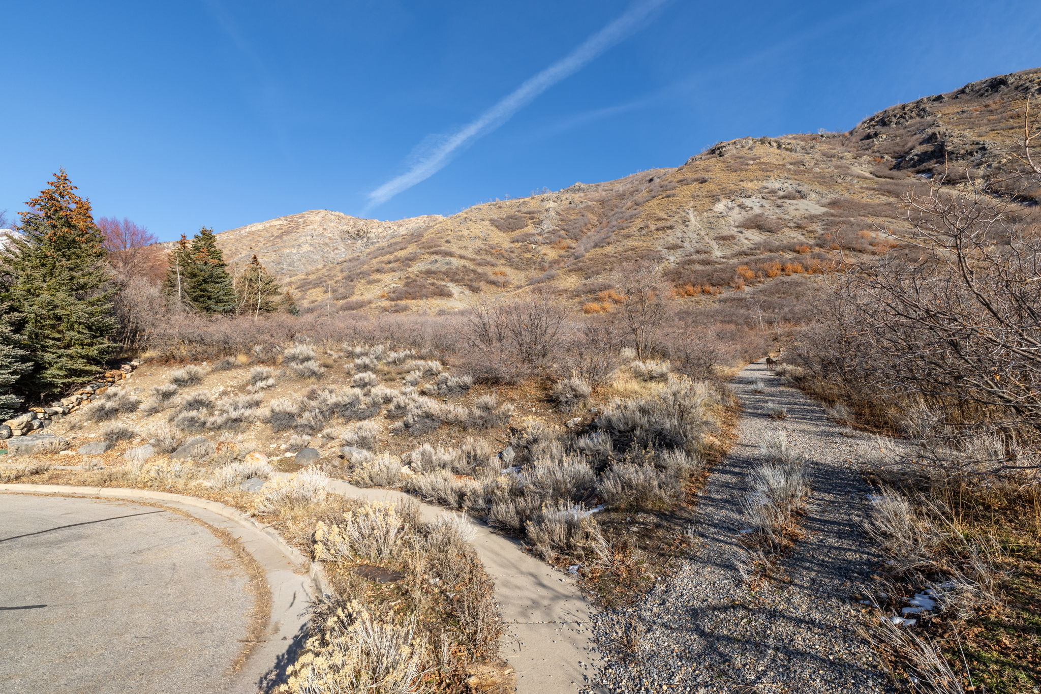 BOX ELDER PLAT F - Land