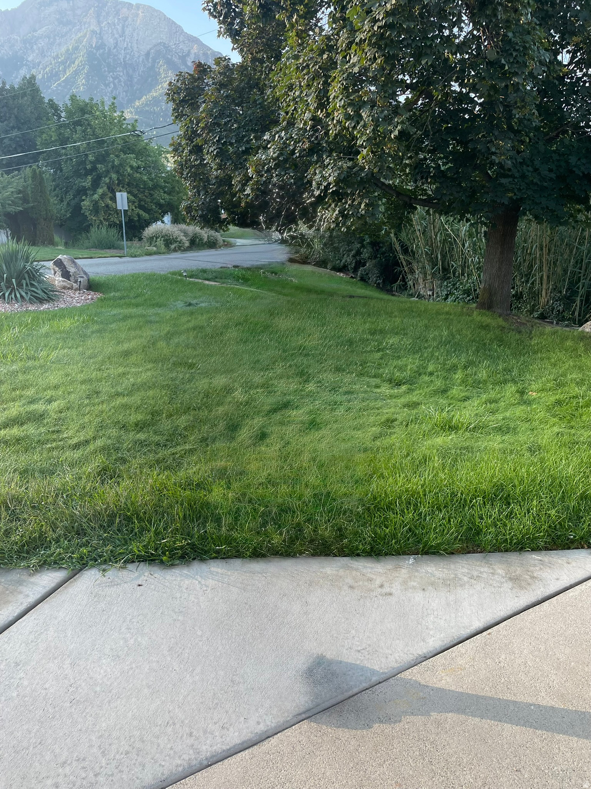 MAYWOOD HILLS - Residential