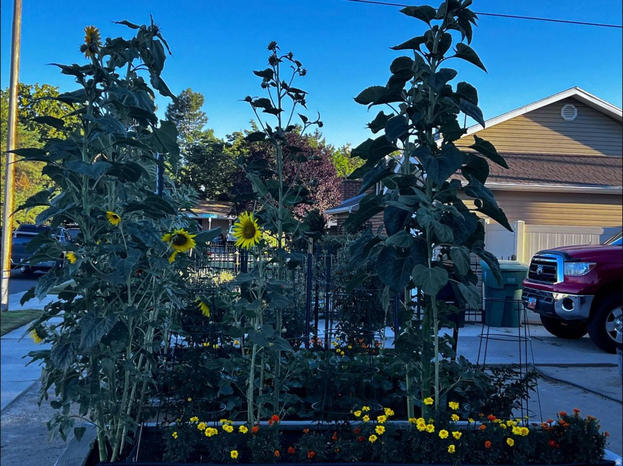 BLAIN ADDITION - Residential