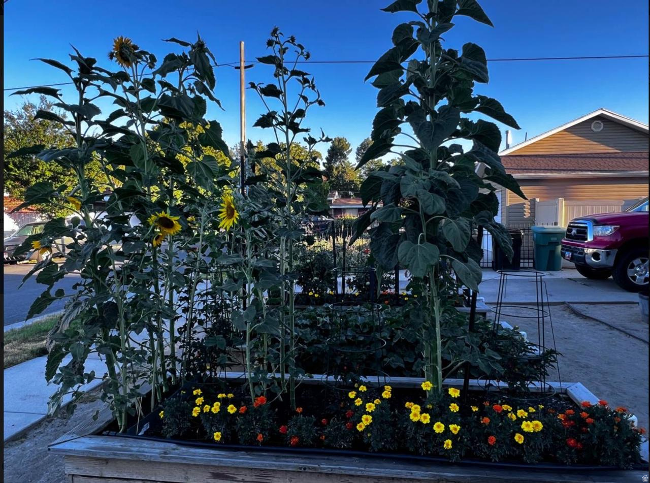 BLAIN ADDITION - Residential