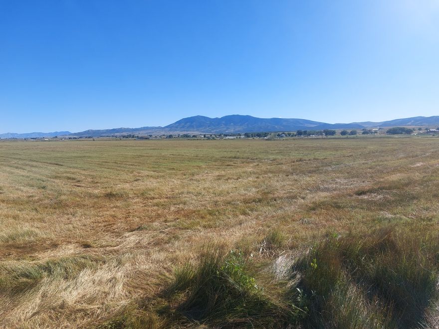 This beautiful property has been used for decades as agricultural land and therefore has an extremely low greenbelt tax rate. Parts of this land have been sub-irrigated at times in the year. This is within the service area of St. John Irrigation Company but has historically not needed additional irrigation due to the natural sub-irrigation. This is in a low-lying area referred to locally as the Meadow.  There are two homes built 4 years ago to the south on Pine St. with the second home at a very similar elevation as this 20 acres.  A successful perc test was completed in Oct 2025. According to Rush Valley town planning and zoning, these lots are buildable but can't be subdivided. The land is zoned residential but buyer would need to work with Rush Valley town requirements to obtain a building permit or could be purchased for agricultural use. Preferred that this parcel be purchased with 2 other parcels next to it:  5.78 acres (#0128300012) and 2.84 acres (#0128400004), which all together total 28.62 acres. The other 2 parcels do not currently have their own separate access. Asking price for 20 acres is $160K.  The other 8 acres would also be priced at the same $8,000/acre. Seller financing available. Property is being leased (agricultural use), so please give 24-hour notice to visit so we can give lessee a heads up.